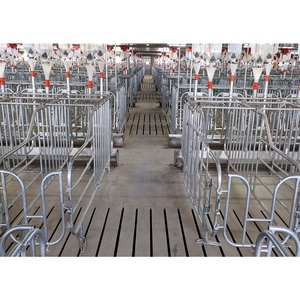 Cages de gestation pour truies et porcs, Équipement d'élevage porcin pour porcheries individuelles - Product Image 4