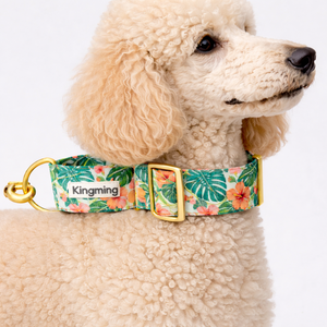 <span class=keywords><strong>Collar</strong></span> de Perro Personalizado con Hebilla Metálica Ajustable, Conjunto de Correa de Nylon para Entrenamiento, Collares para Perros y Mascotas - Product Image 4