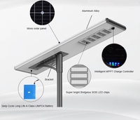 Lampe solaire de rue LED 150W avec batterie LiFePO4, étanche IP65, marche/arrêt automatique