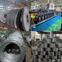 Refroidisseur de moût en spirale 3/8"*50Ft en acier inoxydable 304 de qualité alimentaire pour brassage de bière, bains de glace et projets de chauffage au bois