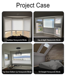 Cơ giới di động Shades Cordless sự riêng tư Pleated Di động Tổ ong Rèm ngày và đêm tổ ong Rèm cho cửa sổ - Product Image 6