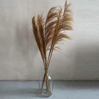 Pichets en verre de 1 gallon, grande cruche de fermentation de 128 oz avec couvercle hermétique, bouteille de vin Growler Carboy avec poignée pour jus, lait, eau,
