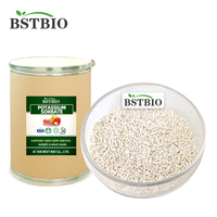 Fabricants de sorbate de potassium de qualité alimentaire BSTBIO, sac de 25 kg de sorbate de potassium