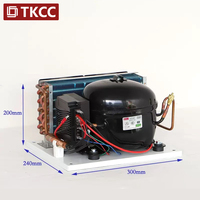 Tianke Mini-Kondensator-Kompressor für Sofortkühlung Wasseraufbereiter Spender Produktion Energiesparend Automatisch Umweltfreundlich