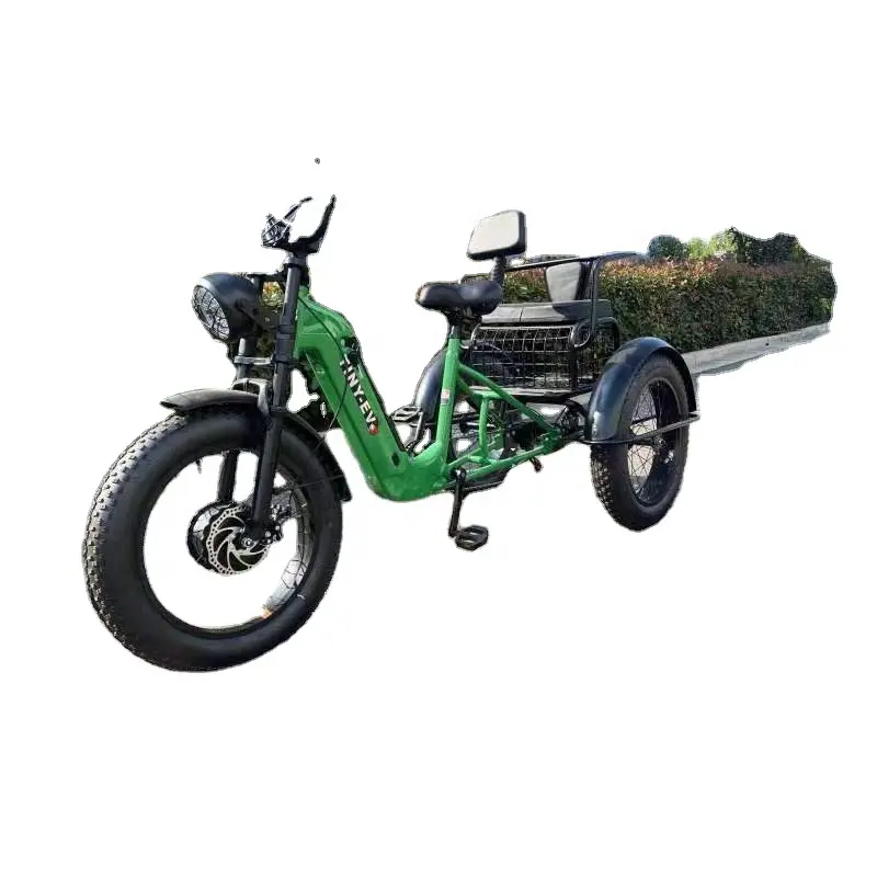 Buy 3 wheel electric tricycle motorcycle 2000W 12inch 40km/h speed closed cheap electric tricycle for adults adult tricycle