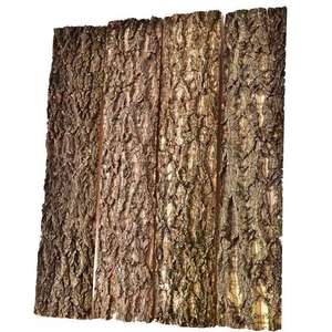 Fond de terrarium en liège, arrière-plan en écorce pour reptiles, décoration murale pour terrarium de dragon barbu, habitat pour gecko, lézard, tortue, grenouille - Product Image 3