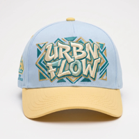Gorra de Béisbol Personalizada con Bordado al por Mayor, Gorra de Sarga de Algodón con Bordado 3D en Relieve, Logotipo Floral de Graffiti, Diseño de Dos Tonos