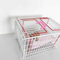 Cage à chat de taille moyenne de haute qualité en gros, cage d'injection pour chat, cage anti-morsure et anti-compression pour animaux de compagnie
