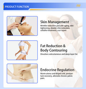 Máquina de Belleza 2023, 448K, Reafirmante y Adelgazante de la Piel, Dispositivo de Terapia Ultrasónica, EMS para Vibración Muscular, Radiofrecuencia <span class=keywords><strong>448</strong></span> <span class=keywords><strong>Khz</strong></span> - Product Image 3