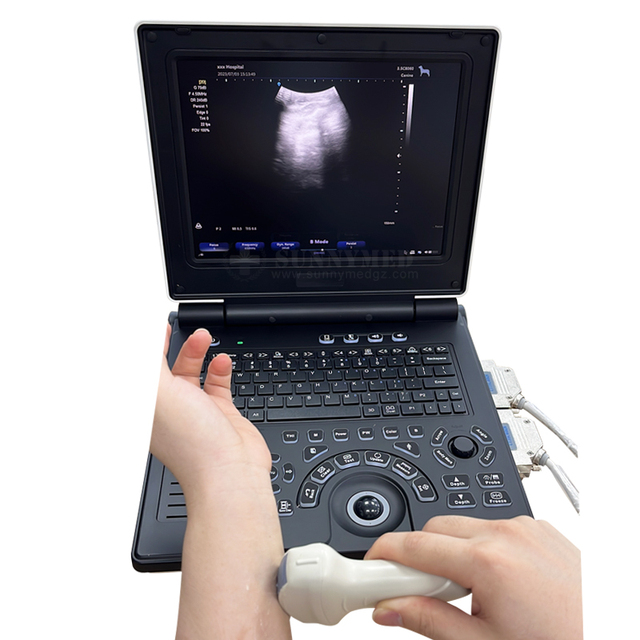 SY-AV20 Vet Premium Veterinary Color Doppler Accurate Diagnosis for Pets Veterinary Equipment