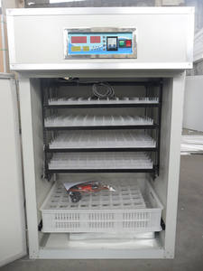 حاضنة بيض جديدة عالية الجودة بسعر منخفض/ZH-352 حاضنة صناعية لتفقيس بيض الدواجن - Product Image 3