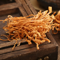 Thé aux fleurs de Cordyceps |   Thé aux herbes pour soutenir l'immunité et l'énergie |   Sans caféine |   Cordyceps militaris séché en vrac |   OEM personnalisé