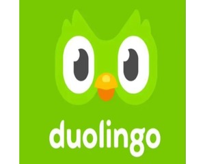 Duolingo Super Premium 1 an - Votre propre compte vous permet d'<span class=keywords><strong>apprendre</strong></span> une nouvelle langue à tout moment et <span class=keywords><strong>en</strong></span> tout lieu - Product Image 1
