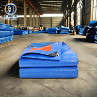 Tissu de bâche enduit de PE personnalisé, résistant à l'eau, couverture de protection moyenne, camions, voitures, textiles de maison, industrie, tissé laminé