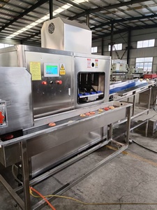 Máquina Pitting Olive Grande Capacidade Equipamento Pitting Automático Industrial - Product Image 2