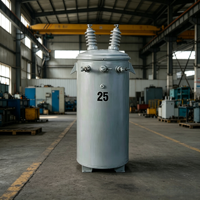 25 Kva 34.5kva 50 Kva 75kva 100 Kva Tek Kutuplu Montajlı Trafo 13.8kv 13.2kv - 120v 220v 60hz
