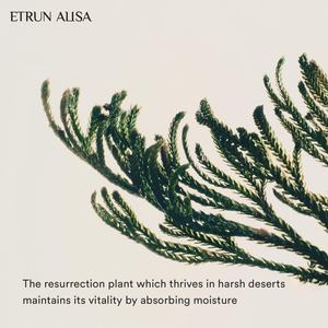 Sérum anti-âge ETRUN ALISA Private Label, formule <span class=keywords><strong>collagène</strong></span> peptide bakuchiol, sérum hydratant en profondeur pour peaux sèches - Product Image 4