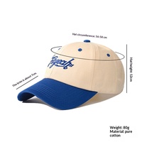Gorra de Béisbol Profesional Personalizada con Bordado 3D Rosa, Ligera, Cómoda, Informal, para Viajes, Gorra de Papá