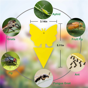 OEM Fly Trap Sticky Fruit Fly Indoor Sticky Yellow Fly Traps Insect <b>Glue</b> Traps in the Garden - Product Image 3