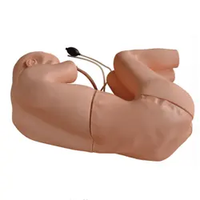 Modelo de entrenamiento de punción Lumbar para enfermería, simulación de pinchazos Lumbar, modelo de pacientes estándar