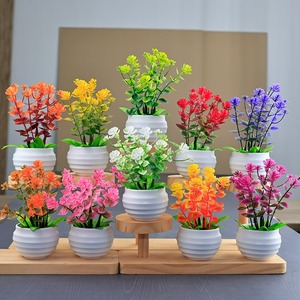 Bonsaï <span class=keywords><strong>en</strong></span> plastique d'<span class=keywords><strong>eucalyptus</strong></span> artificiel pour la décoration du salon, mini plantes <span class=keywords><strong>en</strong></span> <span class=keywords><strong>pot</strong></span> <span class=keywords><strong>en</strong></span> plastique - Product Image 1