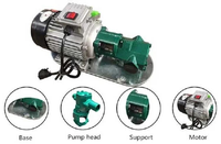 Vente directe d'usine, petite pompe à double engrenage WCB, pompe à huile portable, pompe de transfert de diesel électrique
