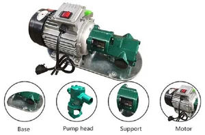 بيع مباشر من المصنع مضخة تروس مزدوجة صغيرة محمولة مضخة نقل ديزل كهربائية cb - Product Image 4