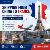 Services logistiques efficaces, services de fret international DDP, services de transport maritime DDP