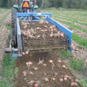 Arracheuse de pommes de terre robuste à 2 rangs, anti-colmatage, pour la récolte à grande échelle des terres agricoles - Product Image 3