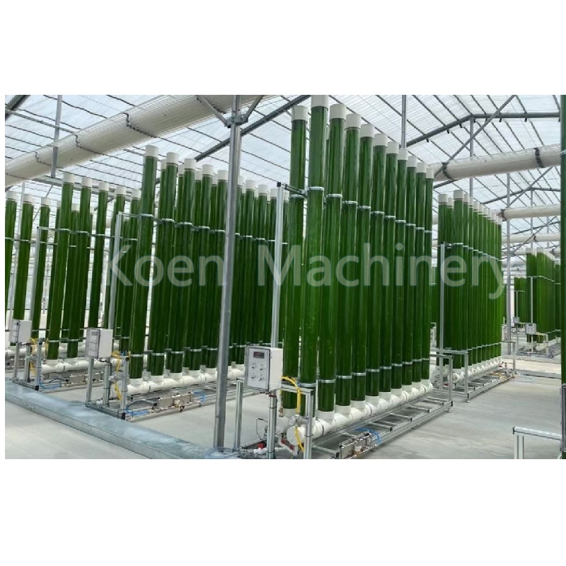 Спирулина водоросли PBR фотобиореактор