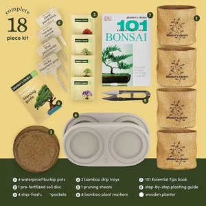 4 kit di attrezzi da giardinaggio kit <span class=keywords><strong>per</strong></span> alberi bonsai crescono kit viene fornito con scatola di legno e <span class=keywords><strong>tutto</strong></span> accetta personalizzato - Product Image 3