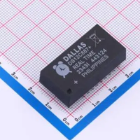 Composants électroniques XYCH Circuits intégrés Puces ICS DS12C887+ IC RTC CLK/CALENDAR PAR EDIP-24 100%