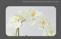 Fleurs de Table Artificielles en Pot Vraie Touche Papillon Orchidée Pot en Céramique Home Office Décoration de Table en Pot Phalaenopsis