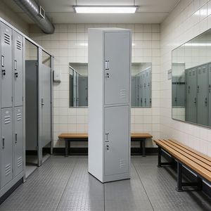 Steel Furniture <strong>Metal</strong> <strong>Locker</strong> Cabinet 2 Doors Key Lock Powder Coating for Gym Commercial Clothes Storage <strong>Locker</strong> - Product Image 5