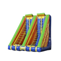 Jeux de sport d'escalade à double échelle gonflable en plein air pour adultes