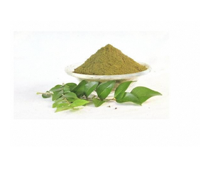 Polvo de Hojas de Curry de Calidad de Exportación, Especia Natural Pura, Hojas de Curry Frescas Procesadas y Secas, Polvo Fino, Suministro a Granel para Alimentos - Product Image 3