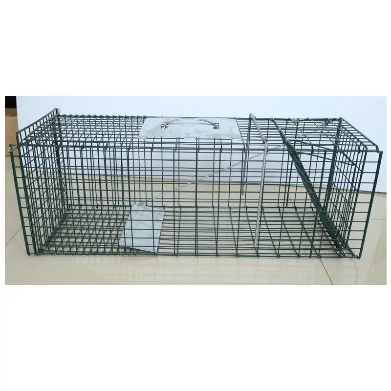 Maikun — cage métallique en métal vert, piège à fils, pour animaux vivants, chat