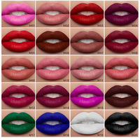 Maquillage végétalien, rouge à lèvres liquide mat non-collant en 24 couleurs, rouge à lèvres mat longue durée imperméable personnalisé, label privé