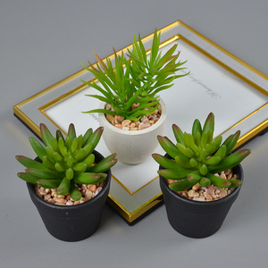 Plantes succulentes artificielles en pot miniature Dongchen Crafts, 10 cm-30 cm, en plastique, décoration intérieure et extérieure - Product Image 1