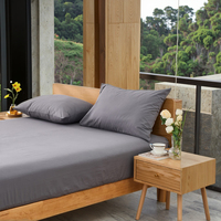 Draps de lit conducteurs en tissu argenté à 15 %, taille américaine, ajustés, pour la mise à la terre, soulagement de la douleur, bien-être, certifiés OEKO, hôtel, 300 fils