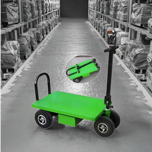 Carrito eléctrico con batería de 800W, carros planos, carga máxima, 300kg, 1000kg, carro de trabajo plano pequeño de ladrillo de carga - Product Image 3