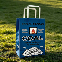 Bolsa de Carbón Activado de Papel Kraft Multicapa Transpirable con Barrera de Humedad, 10 kg, para Polvo Químico, Proveedor de Sacos Filtrantes