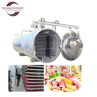 Lyophilisateur industriel économique pour aliments, machine de lyophilisation 40 kg 50 kg 100 kg 200 kg 300 kg
