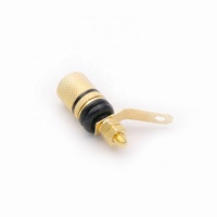 Amplificateur sans fil plaqué or, poste de liaison au haut-parleur bornes HIFI prise banane, adapté aux connecteurs de prises banane de 4mm