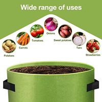 3 5 7 10 gallons Jardin Fruit tissu planteur champignon pomme de terre tomate plantation sac de culture fraise non-tissé sacs de culture pour plantes