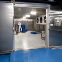 Chambre froide sur mesure pour usine de transformation alimentaire : Solution de congélation rapide