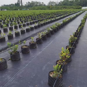 Tessuto Geotessile Non Tessuto in PP Efficace per Barriera Anti-Erbacce, per Aiuole da Giardino e Costruzione Stradale - Product Image 2