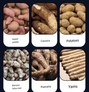 Broyeur de casava en acier inoxydable Équipement agricole Machine avancée de séparation des résidus de patate douce et de pulpe de pomme de terre - Product Image 5