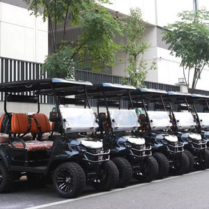 Produits de conception nouvelle et exclusive 2025, chariot de golf à 4 roues Parison rose avec 8 passagers, véhicule utilitaire électrique 2025SDZX12PTPR213 - Product Image 6