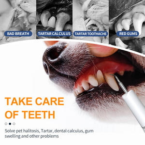 Toelettatura per cani e gatti Smart dentale a ultrasuoni Scaler per uso domestico rimozione della piaga dei denti pulitore per la pulizia orale strumenti - Product Image 5